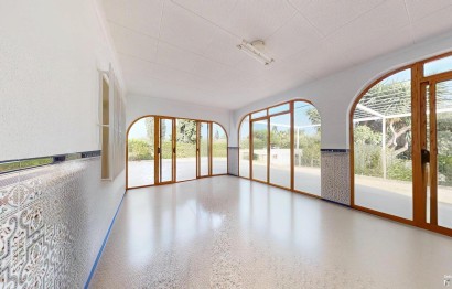 Reventa - Villa - Elche Pedanías - Las Bayas-Asprillas