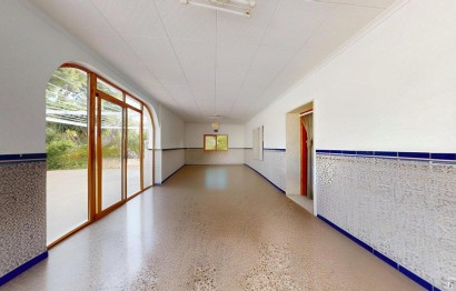 Reventa - Villa - Elche Pedanías - Las Bayas-Asprillas