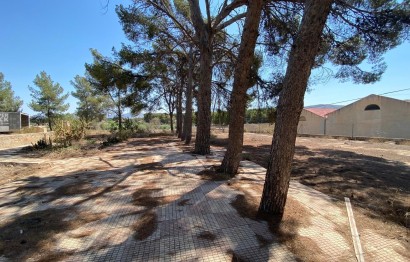 Resale - Villa - Elda - Las Trescientas - San Francisco