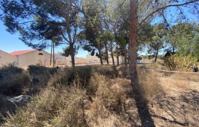 Resale - Villa - Elda - Las Trescientas - San Francisco