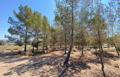 Resale - Villa - Elda - Las Trescientas - San Francisco