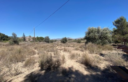 Resale - Villa - Elda - Las Trescientas - San Francisco