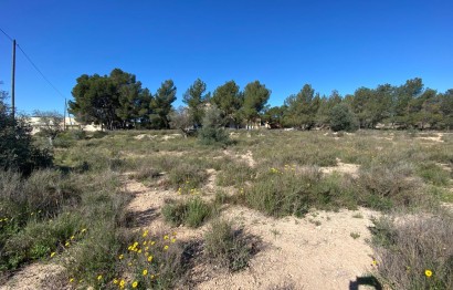 Resale - Villa - Elda - Las Trescientas - San Francisco