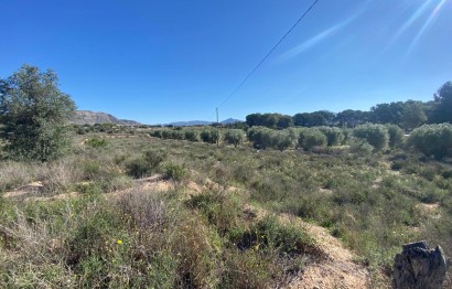 Resale - Villa - Elda - Las Trescientas - San Francisco