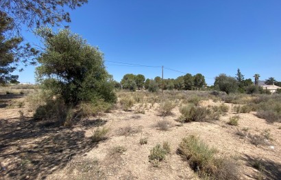 Resale - Villa - Elda - Las Trescientas - San Francisco