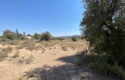 Resale - Villa - Elda - Las Trescientas - San Francisco