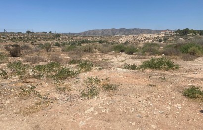 Resale - Villa - Elda - Las Trescientas - San Francisco