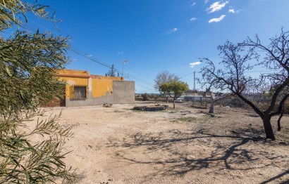 New Build - Villa - Elche - Carrús Este