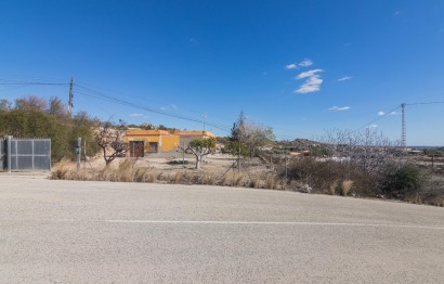 New Build - Villa - Elche - Carrús Este