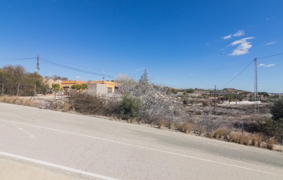 New Build - Villa - Elche - Carrús Este