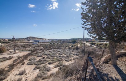 New Build - Villa - Elche - Carrús Este