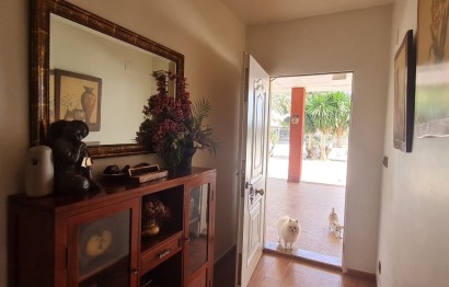 Resale - Villa - Elche Pedanías - Algoda