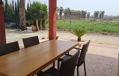 Resale - Villa - Elche Pedanías - Algoda