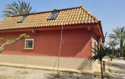 Resale - Villa - Elche Pedanías - Algoda