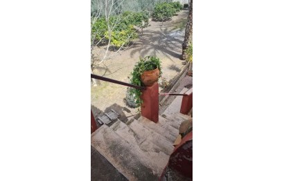 Resale - Villa - Elche Pedanías - Algoda