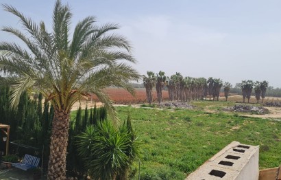 Resale - Villa - Elche Pedanías - Algoda