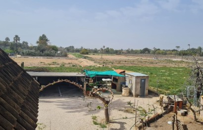 Resale - Villa - Elche Pedanías - Algoda