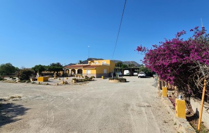 Revente - Ville - San Vicente del Raspeig - Foncalent