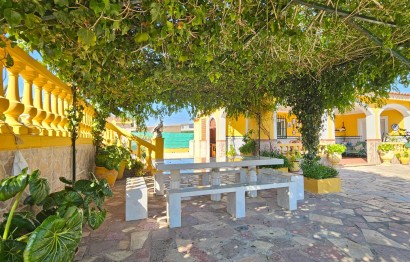 Revente - Ville - San Vicente del Raspeig - Foncalent