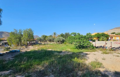 Revente - Ville - San Vicente del Raspeig - Foncalent