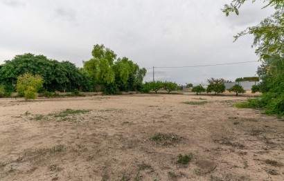 Revente - Ville - Elche Pedanías - La hoya