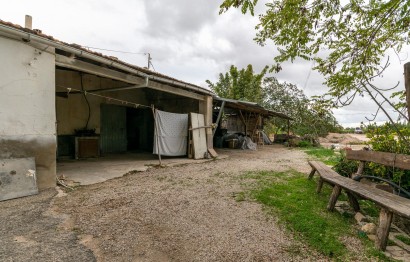 Revente - Ville - Elche Pedanías - La hoya