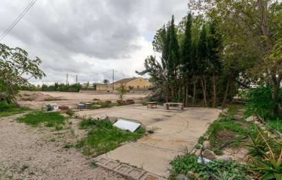 Revente - Ville - Elche Pedanías - La hoya