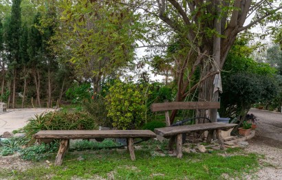 Revente - Ville - Elche Pedanías - La hoya