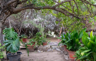 Revente - Ville - Elche Pedanías - La hoya