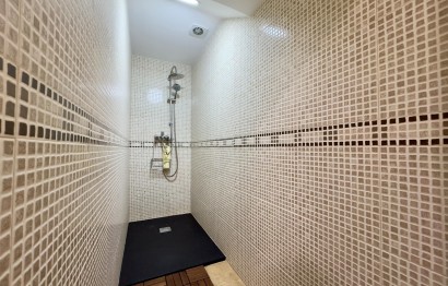 Revente - Negocio - Elche - Sector V-El Canal