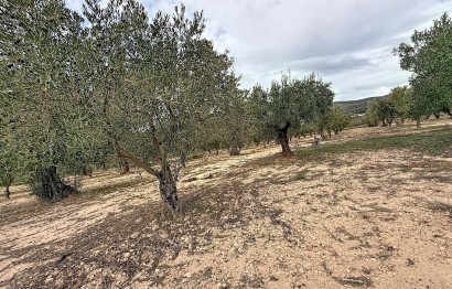 Revente - Ville - Onil - El Pla