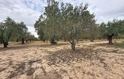 Revente - Ville - Onil - El Pla