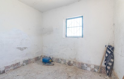 Obra nueva - Villa - Elche - Carrús Este