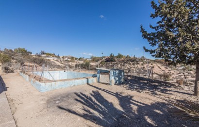 Obra nueva - Villa - Elche - Carrús Este