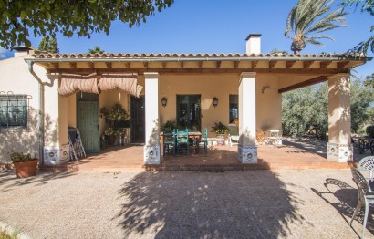 Resale - Villa - Elche Pedanías - Alzabares