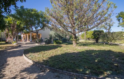 Resale - Villa - Elche Pedanías - Alzabares