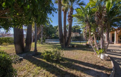 Resale - Villa - Elche Pedanías - Alzabares