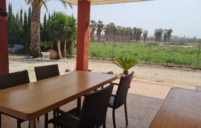 Resale - Villa - Elche Pedanías - Algoda