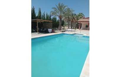 Resale - Villa - Elche Pedanías - Algoda