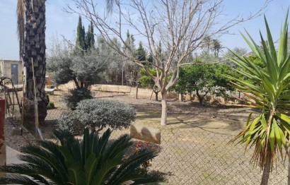Resale - Villa - Elche Pedanías - Algoda