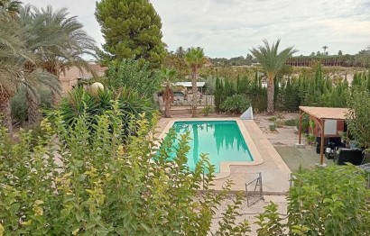 Resale - Villa - Elche Pedanías - Algoda