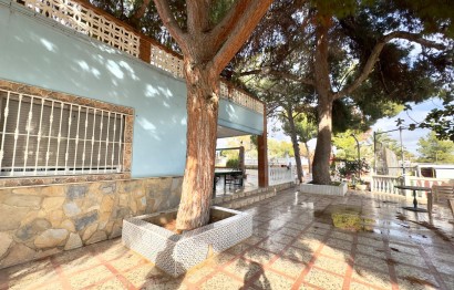 Resale - Villa - Elche Pedanías - Partida de carrus