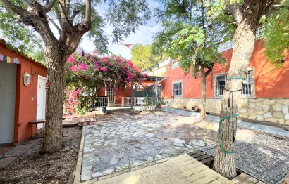 Resale - Villa - Elche Pedanías - Partida de carrus