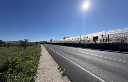 Resale - Parcela - Aspe - Huerta mayor