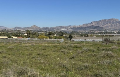 Resale - Parcela - Aspe - Huerta mayor