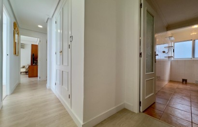 Location à long terme - Appartement - Elche - Plaza Madrid