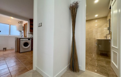 Location à long terme - Appartement - Elche - Plaza Madrid