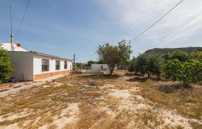 Reventa - Casa de campo - Elche - Carrús Este