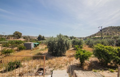 Reventa - Casa de campo - Elche - Carrús Este