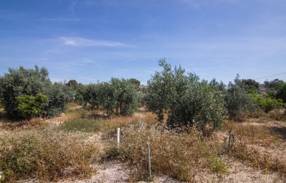 Reventa - Casa de campo - Elche - Carrús Este